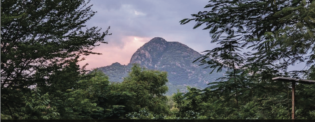 Le Maha Pancha Bhuta Yatra : pélerinage aux temples des 5 éléments