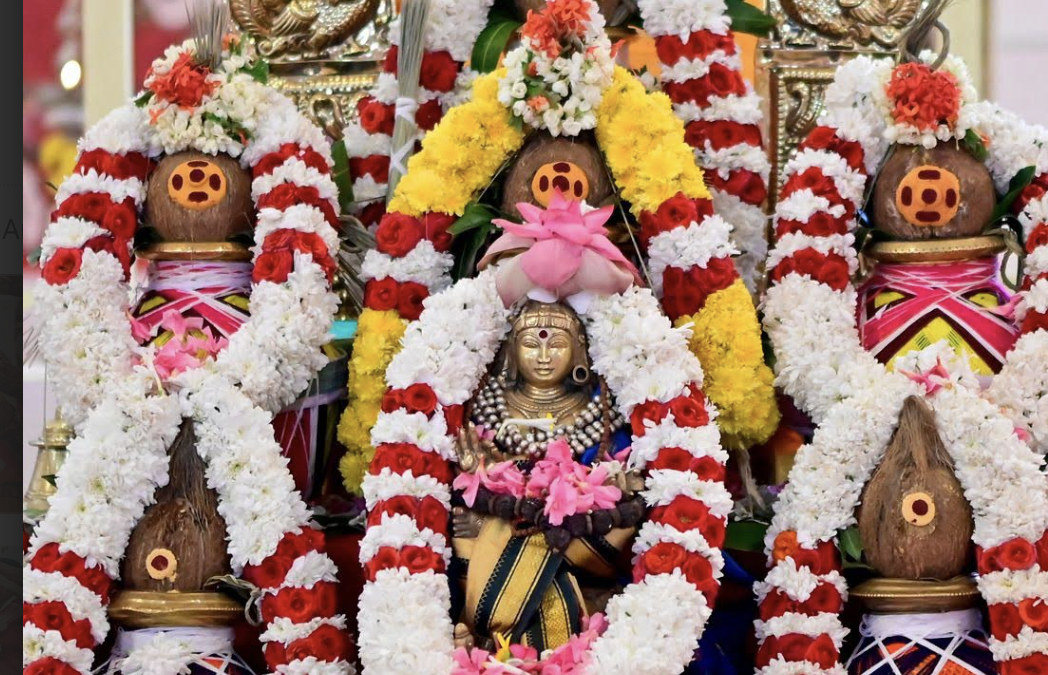 Qu’est-ce que Navaratri ?